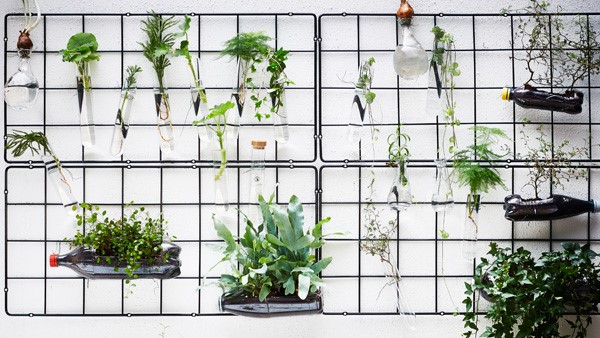Verticale tuin vb1