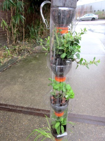 Verticale tuin vb3