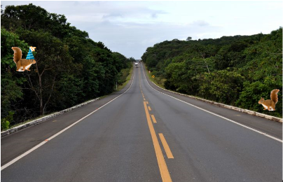 Verjaardagsfeest eekhoorn Freek